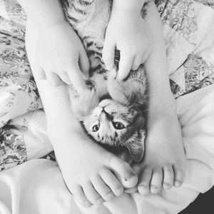 Meet your Posher, Natasha